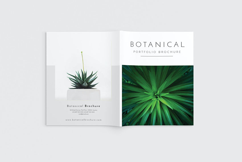 Botanical Portfolio